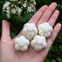 Load image into Gallery viewer, Intention Candle Wax Melts