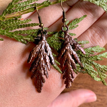 Load image into Gallery viewer, Copper Cedar Earrings

