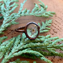 Load image into Gallery viewer, Forget-Me-Not Flower Copper Ring
