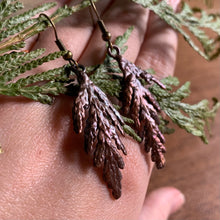 Load image into Gallery viewer, Copper Cedar Earrings
