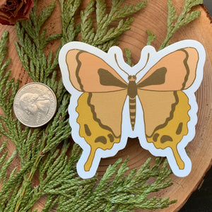 Large Butterfly Sticker