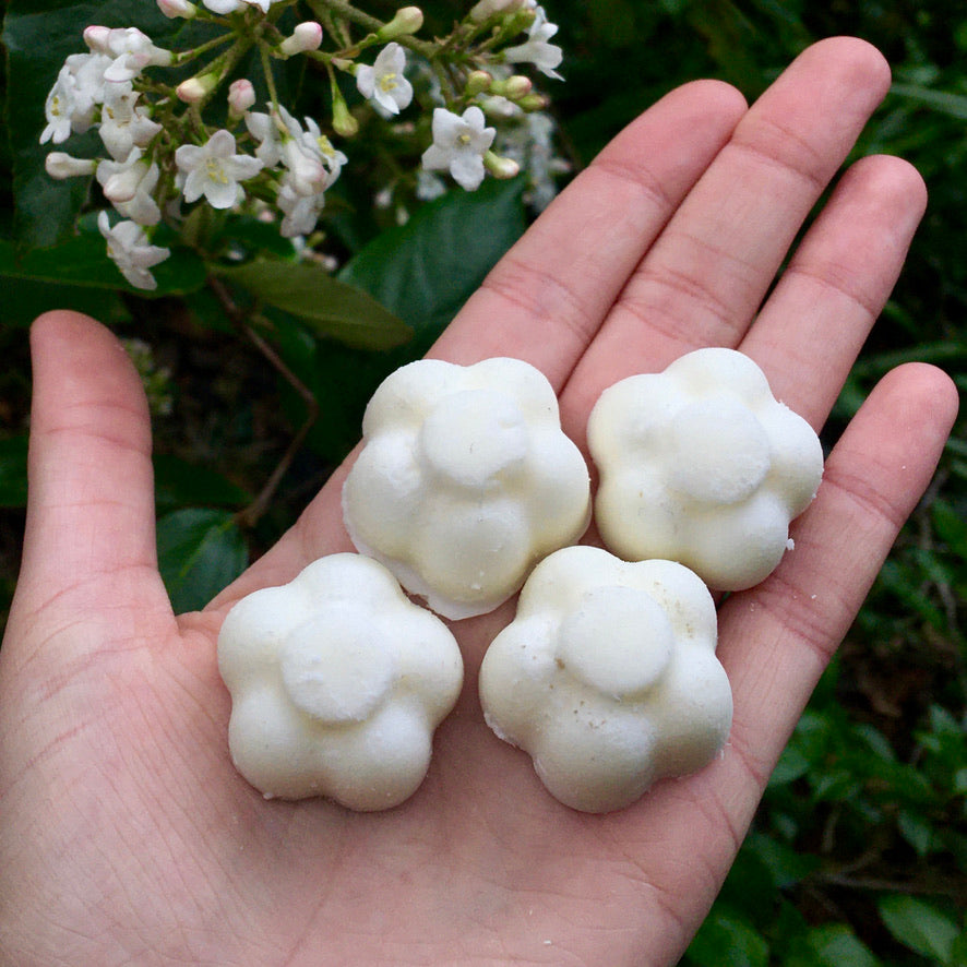Intention Candle Wax Melts