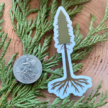 Load image into Gallery viewer, Small Redwood Sticker
