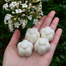 Load image into Gallery viewer, Intention Candle Wax Melts
